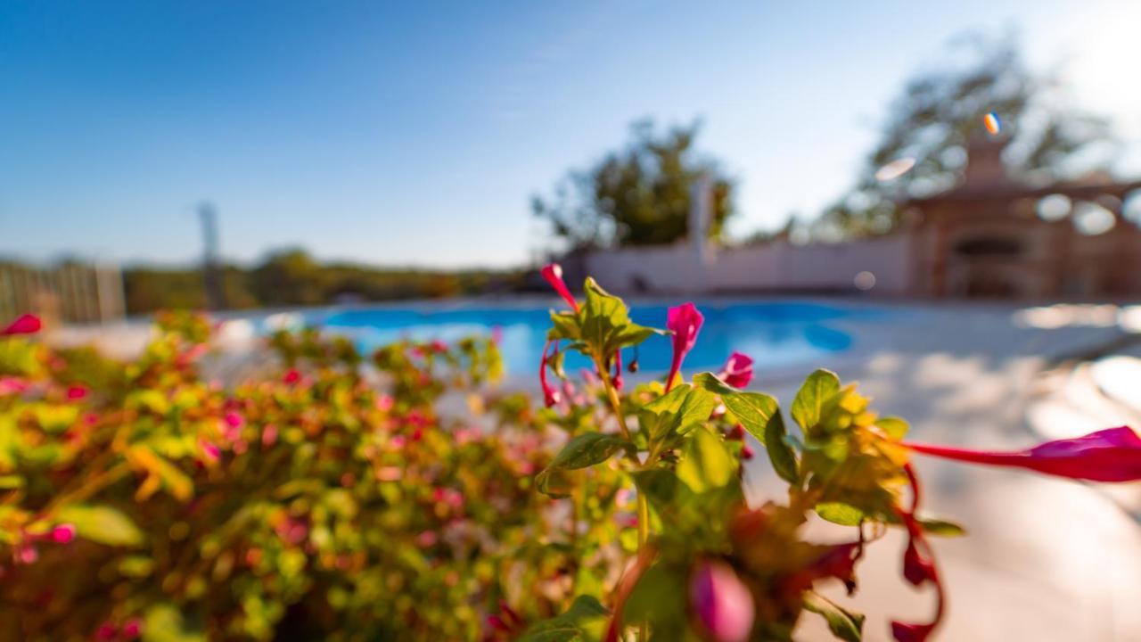 Villa Arton Heated Swimming-Pool Žminj Dış mekan fotoğraf