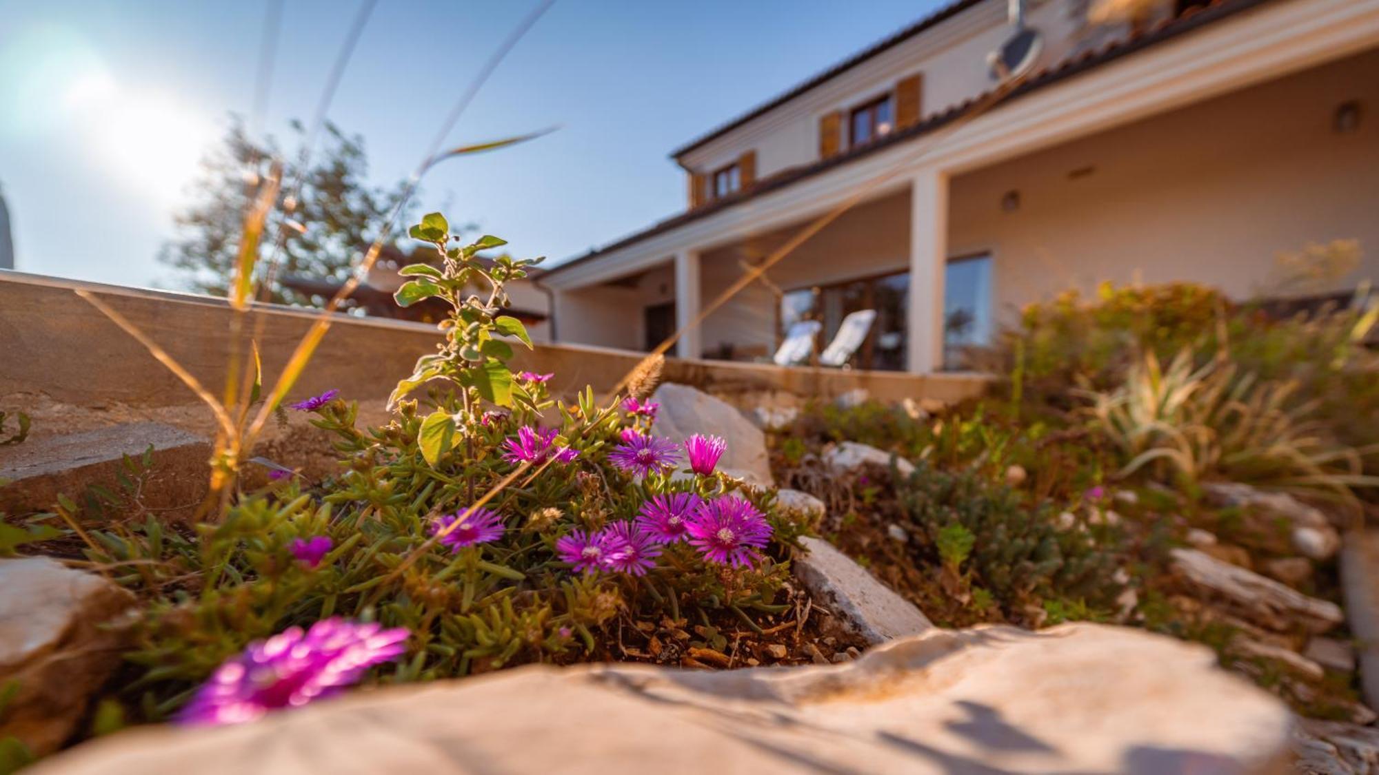 Villa Arton Heated Swimming-Pool Žminj Dış mekan fotoğraf